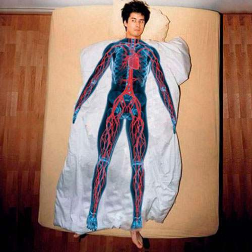 Постельное белье "Видно насквозь" (1,5-спальное)