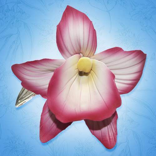 Орхидея фарфоровая "Тропическая красавица"