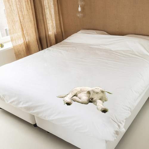 Постельное белье "Новогодние сны" (размер евро)